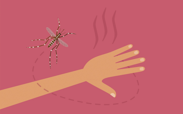 W jaki sposób komary szukają swoich ofiar? 