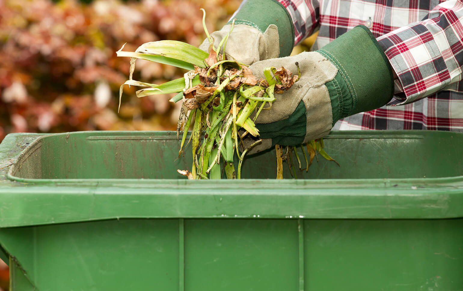 Nie należy mylić kompostu z nawozem naturalnym.
